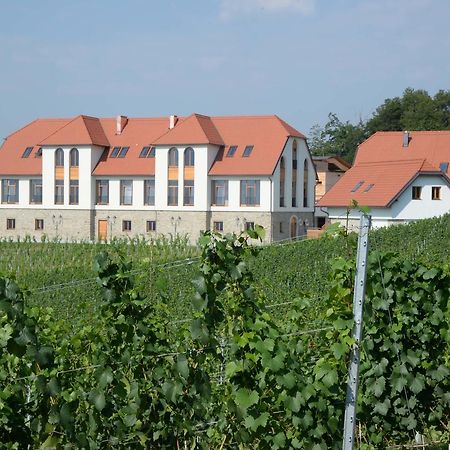 Weingut Taggenbrunn Hotel Sankt Veit an der Glan Buitenkant foto