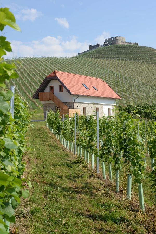 Weingut Taggenbrunn Hotel Sankt Veit an der Glan Buitenkant foto