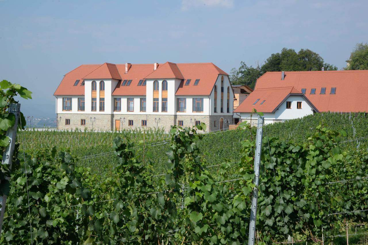 Weingut Taggenbrunn Hotel Sankt Veit an der Glan Buitenkant foto