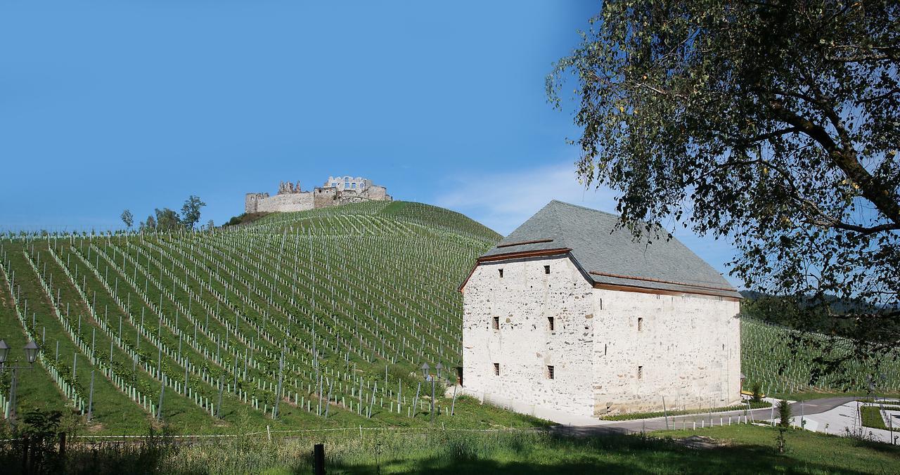 Weingut Taggenbrunn Hotel Sankt Veit an der Glan Buitenkant foto