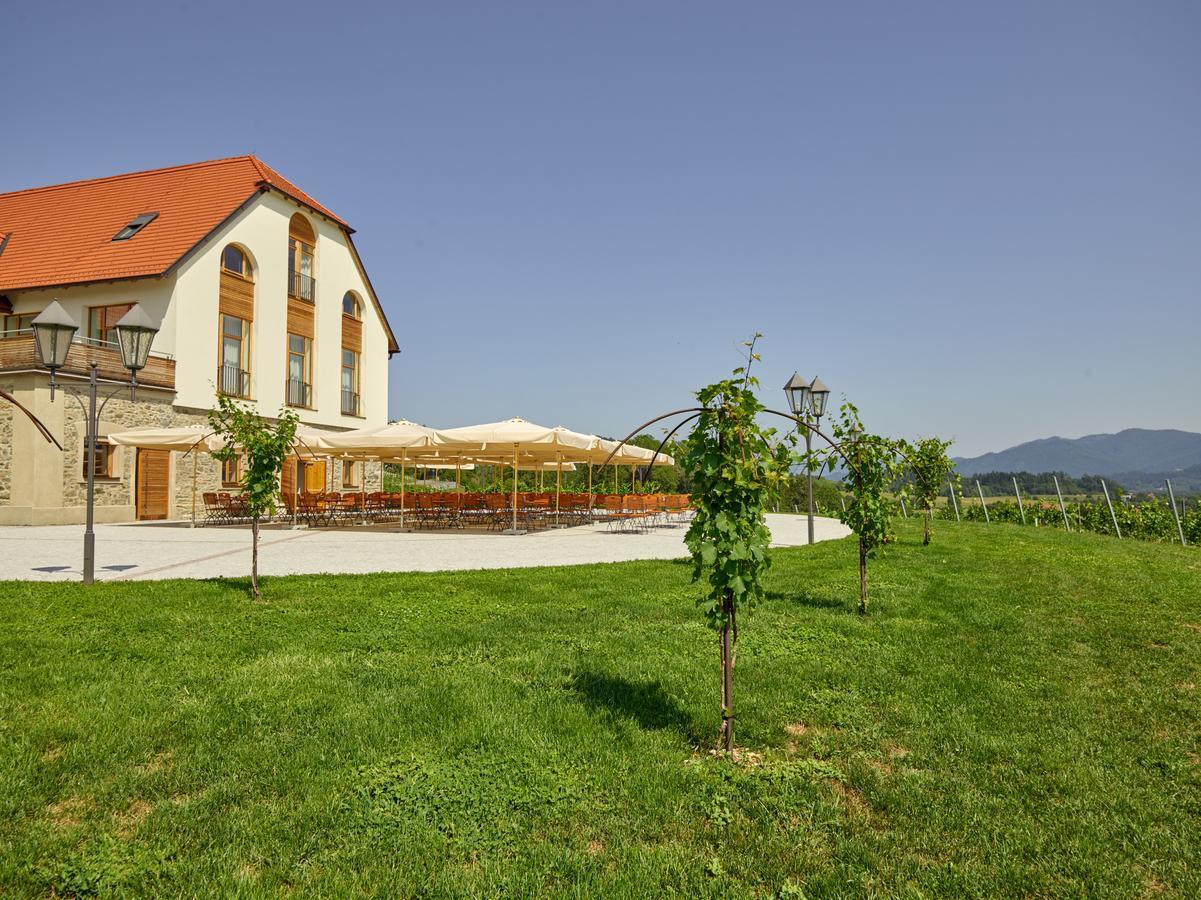 Weingut Taggenbrunn Hotel Sankt Veit an der Glan Buitenkant foto