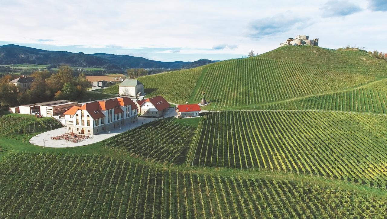 Weingut Taggenbrunn Hotel Sankt Veit an der Glan Buitenkant foto